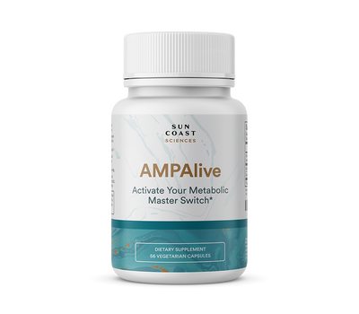 AMPAlive (Copy)